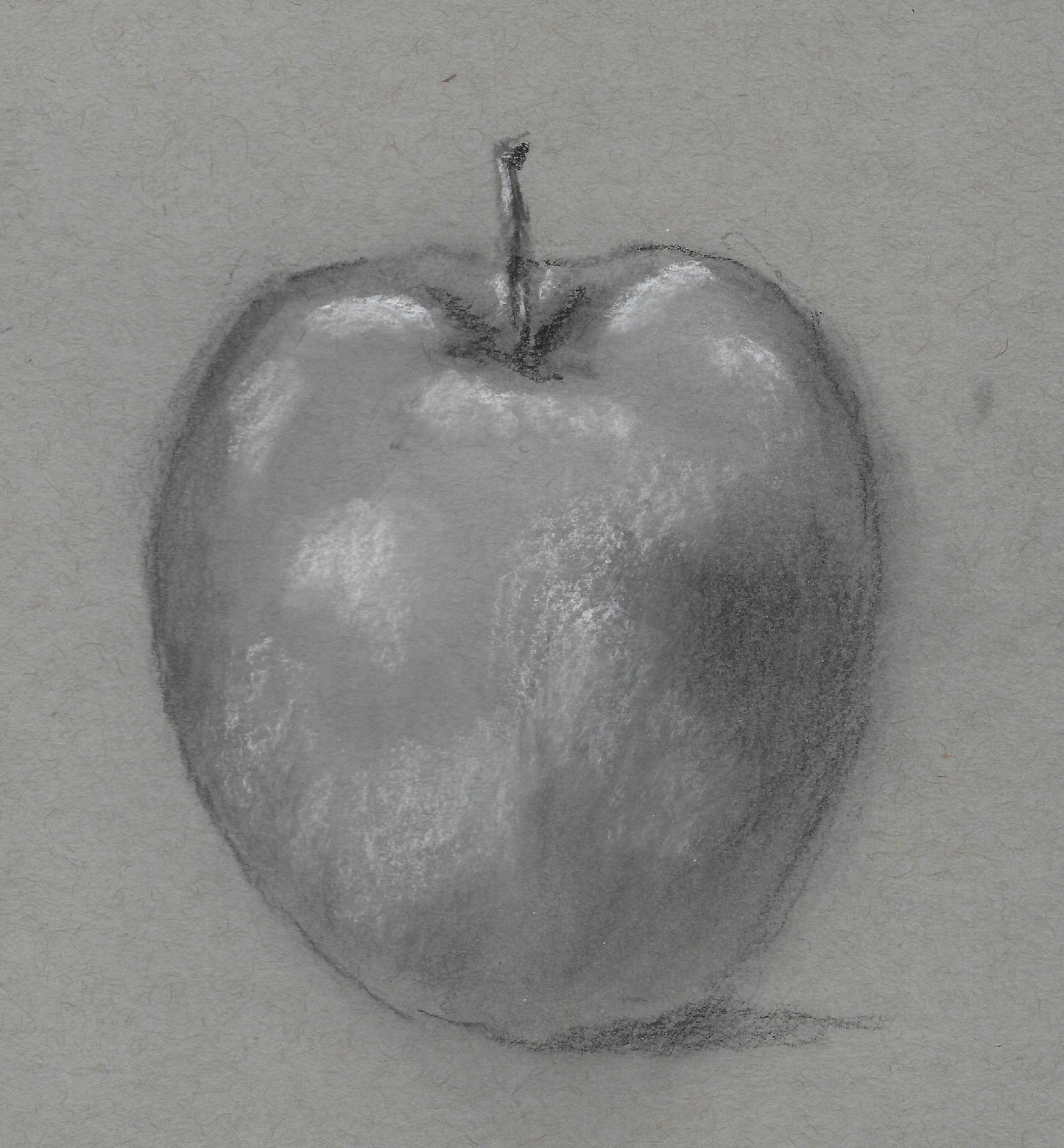 Fundamentals of Charcoal Drawing - Thursday Mornings, September 10 - October 1 2026