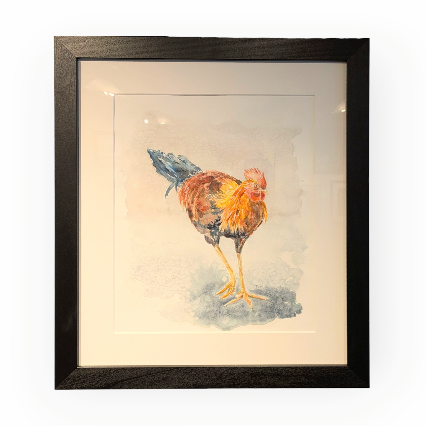 Gallery - Jennifer Tomes