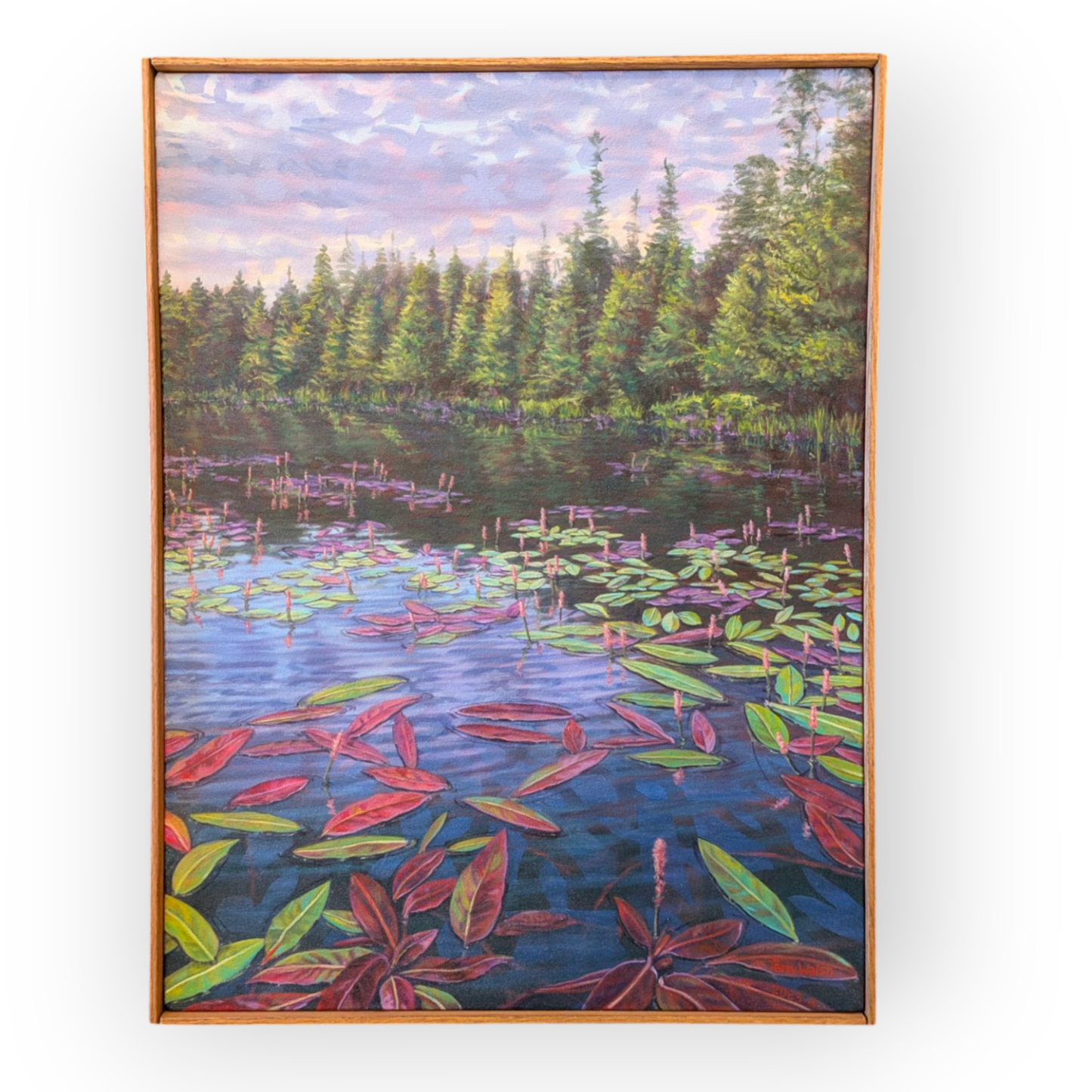 Gallery - Terry Walsh