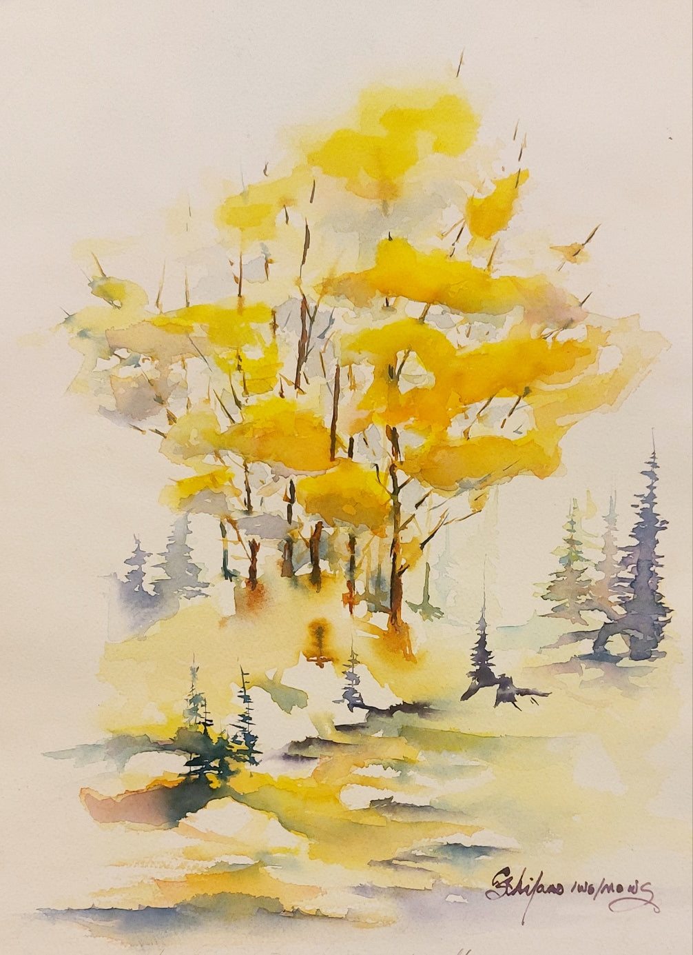 Basic Watercolor Techniques Wednesday Afternoons, Jan 7- Jan 28